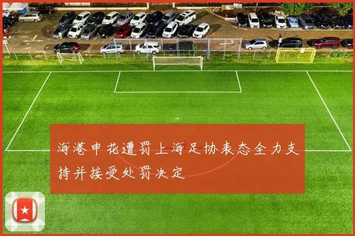 海港申花遭罚上海足协表态全力支持并接受处罚决定