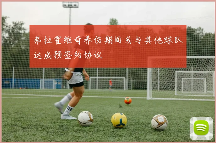 弗拉霍维奇养伤期间或与其他球队达成预签约协议